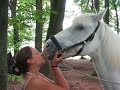 Bisous D Amour D Un Cheval