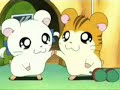 Hamtaro Intro german
