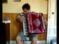La Cumparsita (Tango) - Diego Caligiuri Petronà CZ fisarmonica accordeon