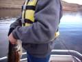 DVL FISHING