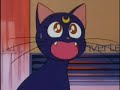 Sailor Moon Clasica Ep. 41 1/2 Espa�ol Latino