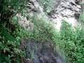 videos de sipi