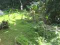 videos de Ryan Ziplining