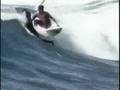 Crazy Surfing