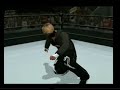3. Brumsel Video (SvR 2007)