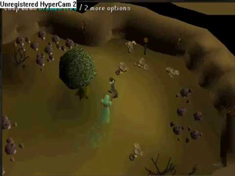 Lost City WITH ANCIENTS