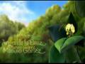 El Bosque Animado