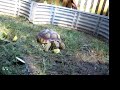 Virgilia eating squash