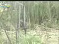 venezuela colombia fan propina duro golpe al contrabando de