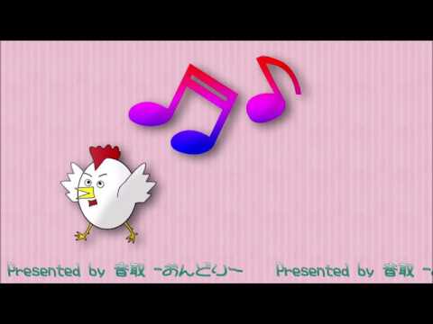 動画