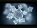 Odkrycie dr Emoto- fragm. 