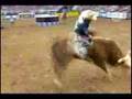 Ednei Caminhas VS Handsome Jack - 88.00