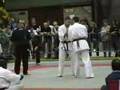 kyokushin basse normandie