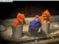 Jamba - monster