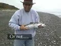 Salmon fishing from the shores of Whidbey Island Salmon fishing from the shores of Whidbey Island