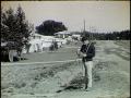 Jim Morrison in Florida State University: Toward a Greater University
