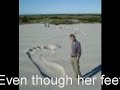 Bigfoot Sighting