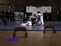 Crazy Girl!  (North Korea Taekwondo)