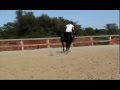 videos de DB Empress