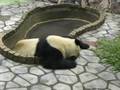 白と黒の殺意！