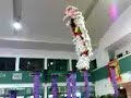 nan wei lion dance