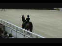 Washington International HS Saddlebred Exhibition - 3-gaited
