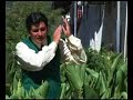 Los Cariñosos de Chota (Tu Dueño)