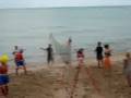 Spiked Volleyball 2