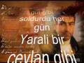 ac� hayat kubat