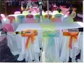 ORDU FATSA SERCAN CICEK EVI VE ORGANIZASYON (452) 423 17 39
