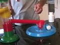 Training Session, Parrots - part 1