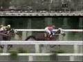 Gallop Diana, forever...