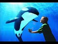 Pictures and videos comes from: www.orquessansfrontieres.org This video focuses on the killer whales in wild life and in captivity. But thre are't description about the orca in captivity, there are only pictures and videos. it's just to show the orcas in world, Orcas Without Border. In this video, we have marineland park ( France) and Seaworld park...but I don't know the origine town lol!! specialist persons can give our town's name... :-) PS it is not an anti-captivity video...but I think orcas are more beautitful in wild life... RE PS: sorry for my english...i'm bad :-s