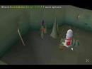 killing rock lobsters spot one