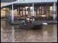 Pirates of Reelfoot Lake : Samburg Run 2001