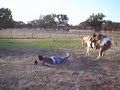brady the cowboy