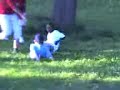 Kiddie Fight