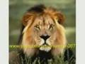 For all the Sinhalese