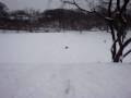 dia de nieve