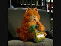 garfield