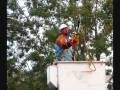 Lineman At Work