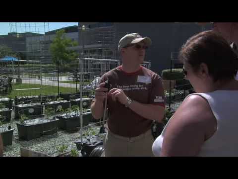 How to combine exercise and diet in one acivity: Should hospitals teach patients how to grow vegetables? How to combine exercise and diet in one acivity: Should hospitals teach patients how to grow vegetables?