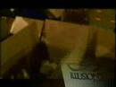 ILLUSION�S Angels