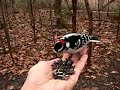 Feeding Chickadees and Downy Woodpecker Feeding Chickadees and Downy Woodpecker