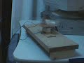 Faro Campus 2007 - Prototipo n�2