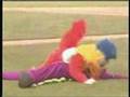 The Famous Chicken Dance Fight