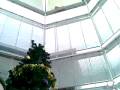 videos de 21112008.mp4