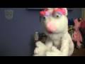 Kayleigh's Puppet Test Video 2 by Kayleig