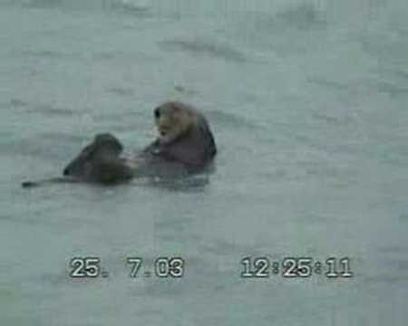 Seward, Alaska