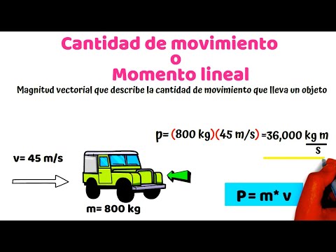 Cantidad de Movimiento o Momento Lineal
